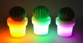 LED Kaktus aus Echtwachs in verschiedenen Farben inkl. Batterie