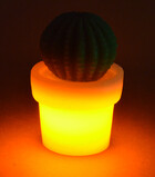 LED Kaktus aus Echtwachs / orange