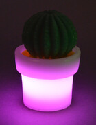 LED Kaktus aus Echtwachs / lila