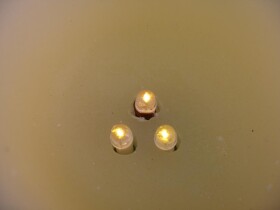 LED-Wachs-Kerzen 3er Set mit Fernbedienung