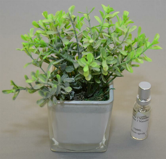 Lufterfrischer als künstliche Pflanze inkl. 10ml Duftspray / Vanille