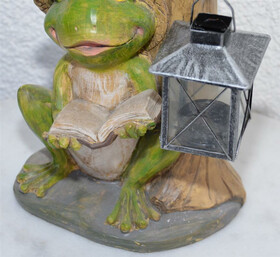 Frosch mit Laterne und Buch sitzend 28cm H&ouml;he...