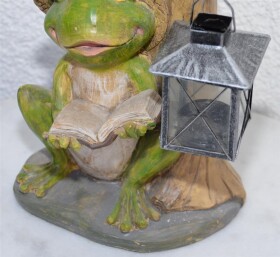 Frosch mit Laterne und Buch sitzend 28cm Höhe...