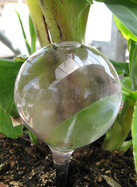 Gießfrei Bewässerungskugeln Durstkugel aus Glas 4erSet Mini