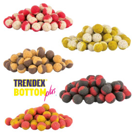 Behr Trendex Bi-Color Boilies der Spitzenklasse 20mm...