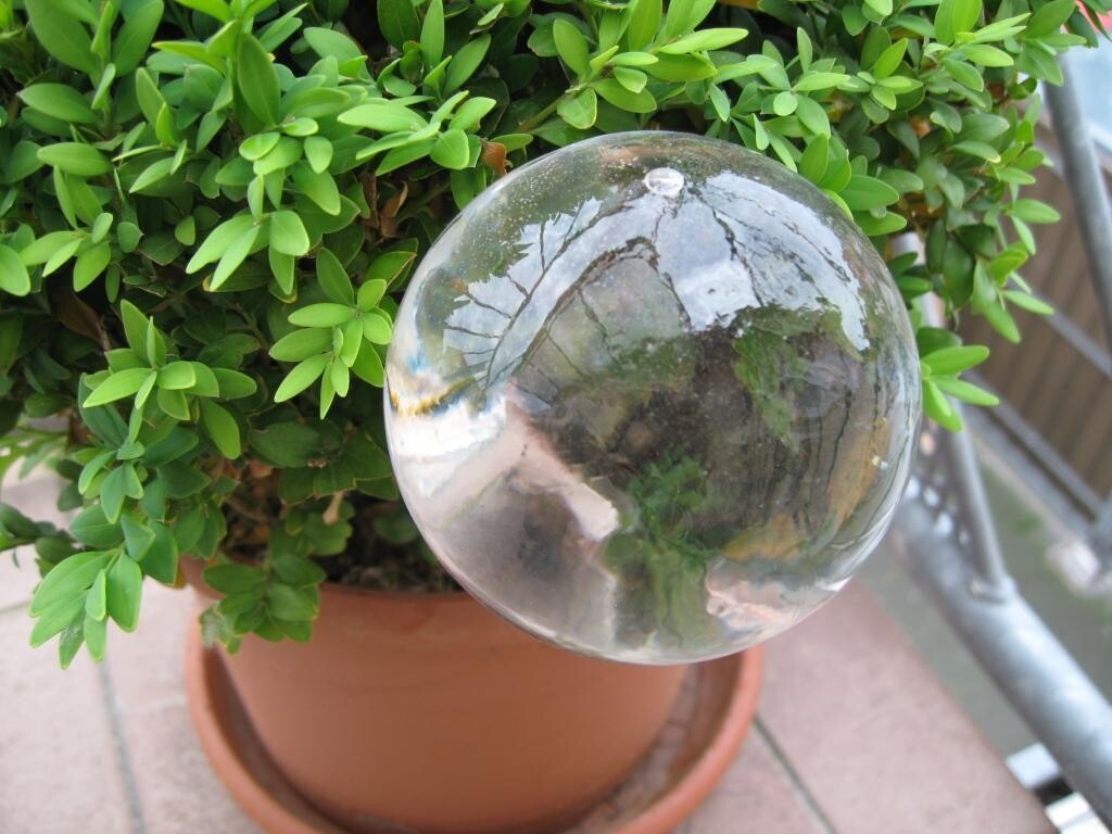 Durstkugel Bewässerungskugel Grün Mit Glas Stopfen Durstkugeln In Top Qualität