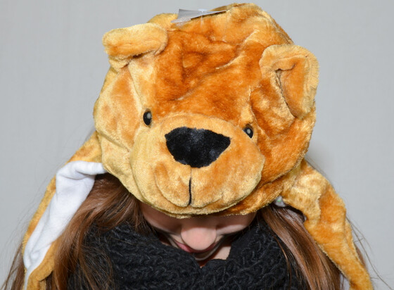 Wintermütze Mütze in Tierform div. Sorten Universalgröße für Kinder & Erwachsene Bär
